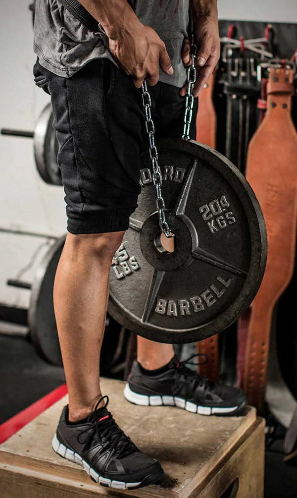 Harbinger Poly Pro Dip Belt BLK