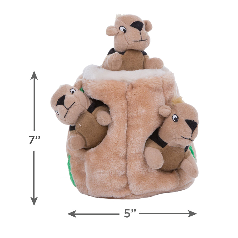Outward Hound Hide A Squirrel Plush Dog Toy Puzzle