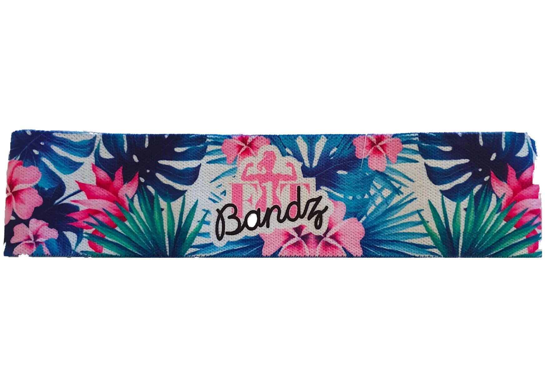 Fitbandz- فيجي المتوسطة