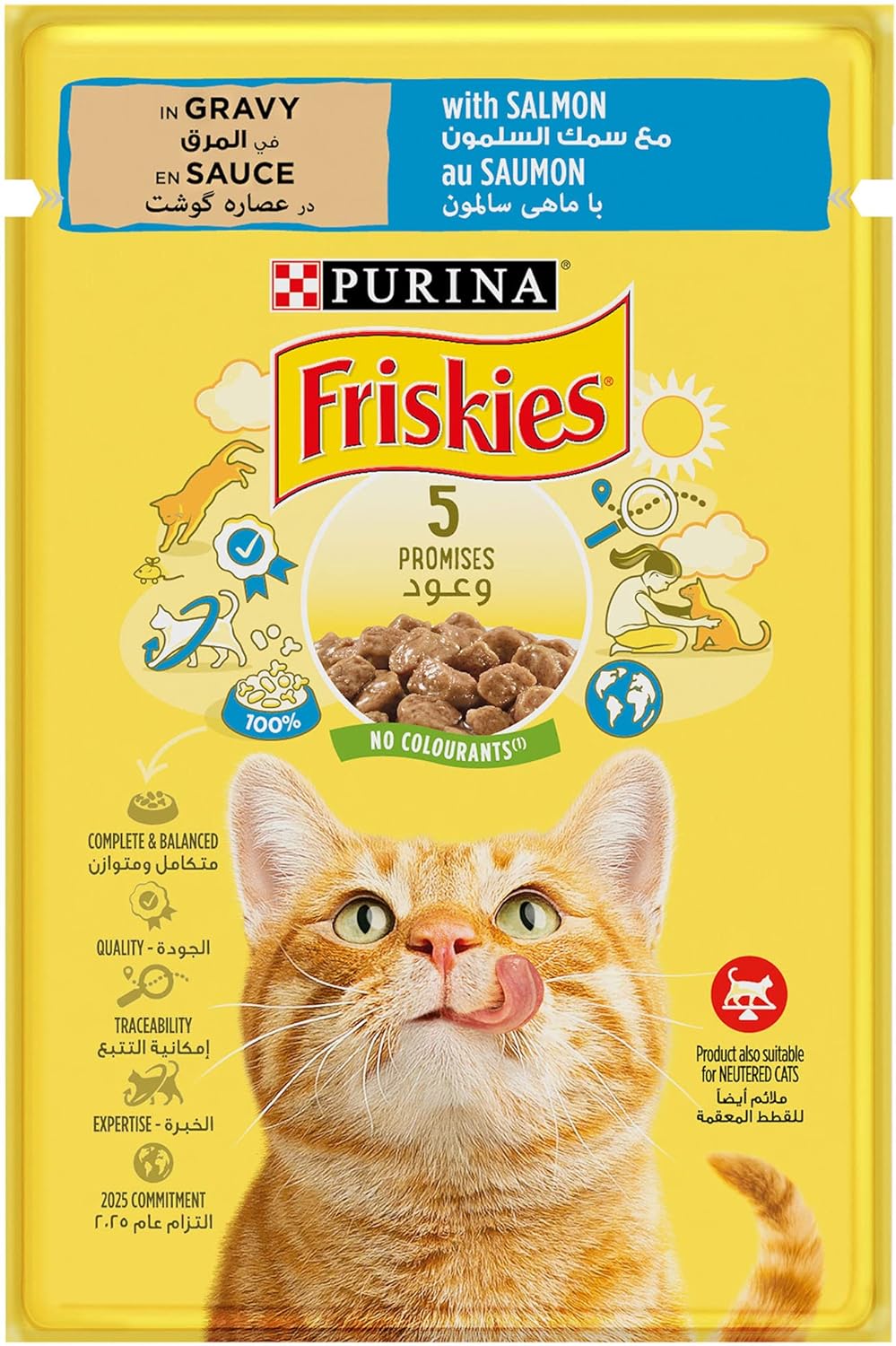 Purina Friskies Pouch With Salmon 85g  X 26 Sachets (Pcs)