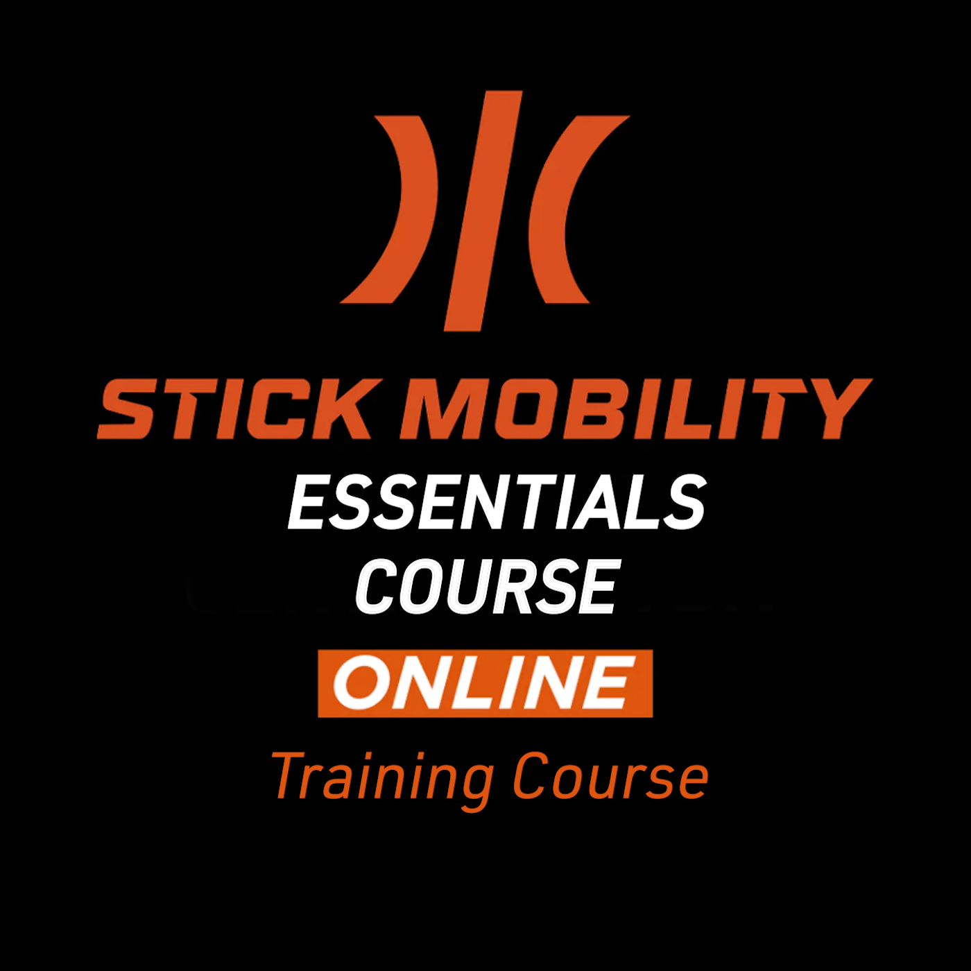 Stick Mobility Essentials Course Online