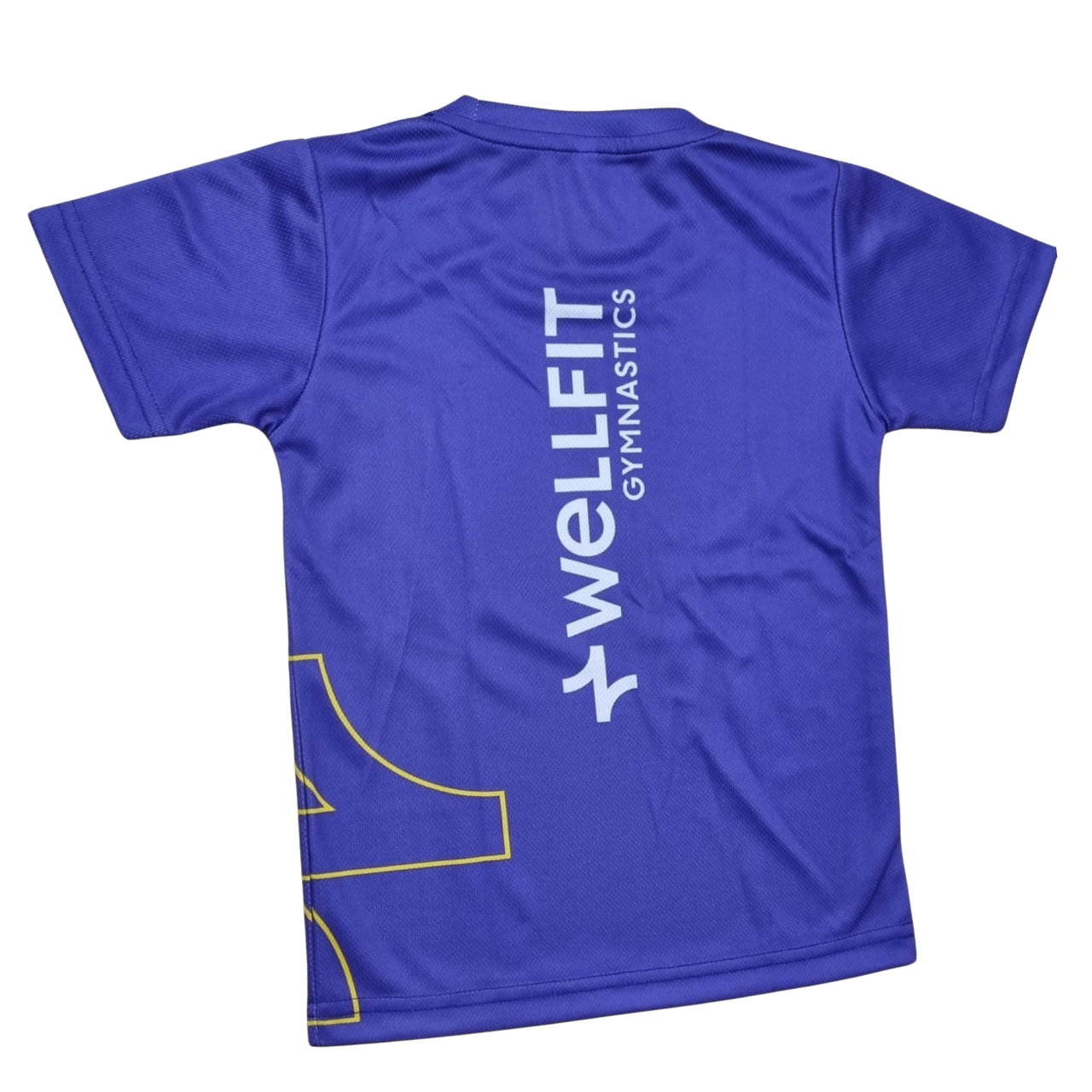 Wellfit Gymnastics Boys T-shirts
