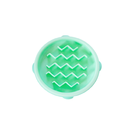 Outward Hound Fun Feeder Slo Bowl, Slow Feeder Dog Bowl, Small/Tiny, Mint