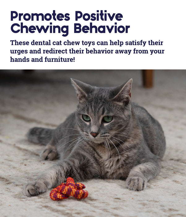 Petstages Catnip Plaque Away Pretzel Dental Cat Chew Toy