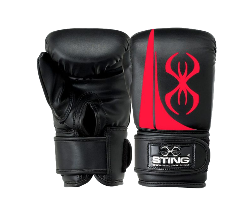 Bag for top boxing equipment