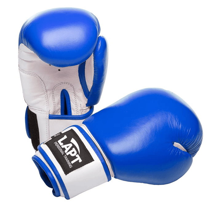 LAPT Boxing Gloves